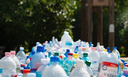 Studiu: Deșeurile de plastic ar putea fi folosite la fabricarea produselor farmaceutice pentru afecțiuni neurologice